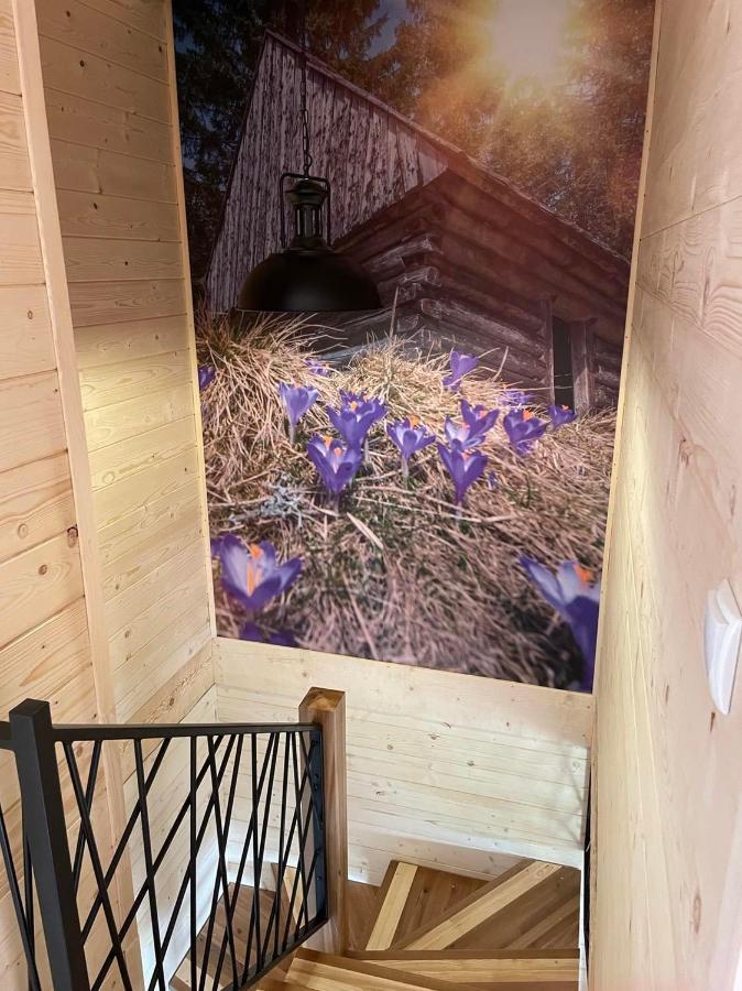 Na Starej Drodze Villa Ciche  Bagian luar foto